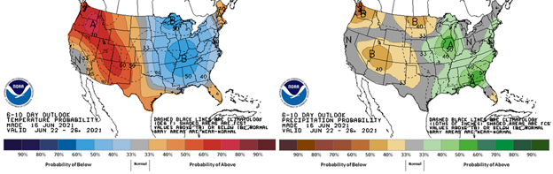 6-10 day outlook